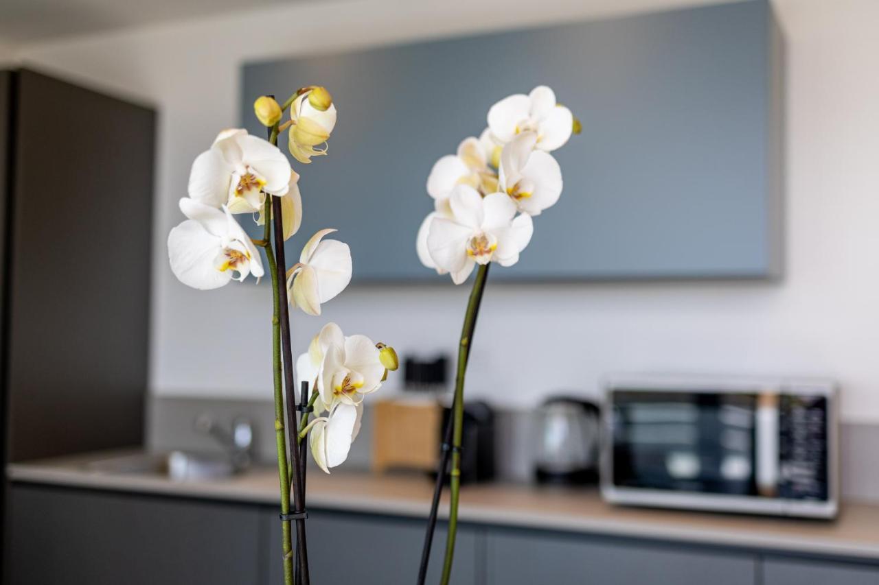 Aregai Marina Exclusive Seaside Apartments ซานตาสเตฟาโน อัล มาเร ภายนอก รูปภาพ